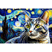 cat-in-starry-night-paint-by-number-kit