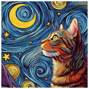 cat-watching-the-starry-paint-by-number-kit