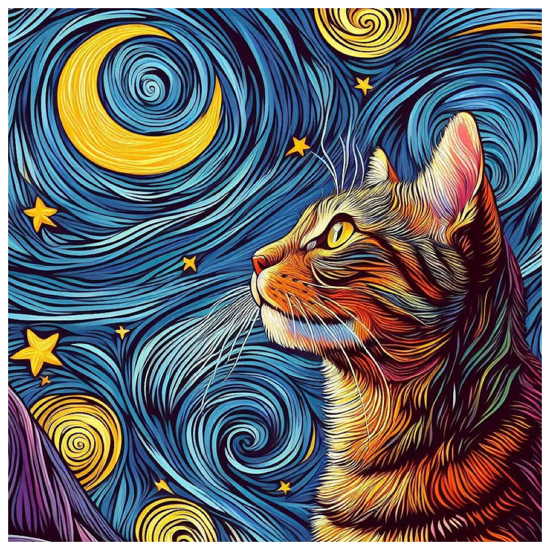 cat-watching-the-starry-paint-by-number-kit