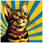 curious-cat-paint-by-number-kit