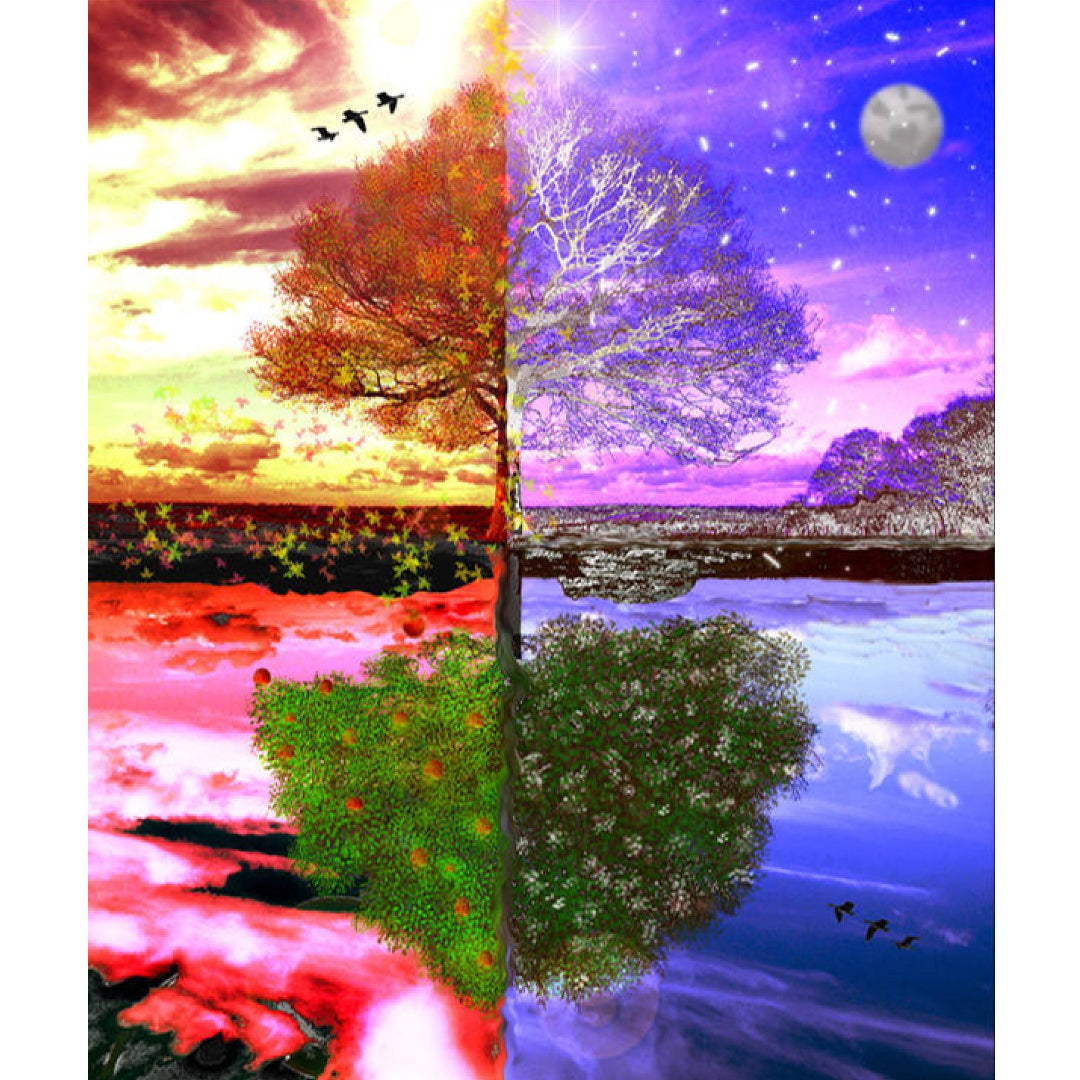 four-seasons-tree-paint-by-number-kit