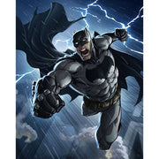 furious-strike-batman-paint-by-number-kit