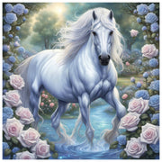 handsome-white-horse-paint-by-number-kit