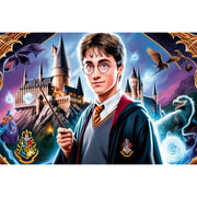 harry-potter-in-magical-world-paint-by-number-kit