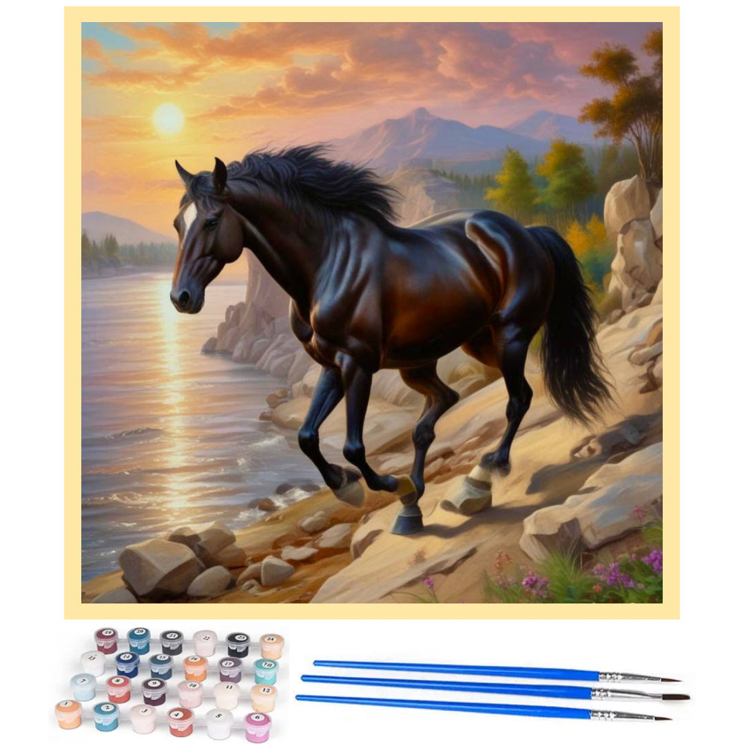 horse-black-beauty-paint-by-number-kit
