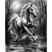 horse-runs-across-the-water-paint-by-number-kit