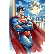 leisure-time-superman-paint-by-number-kit