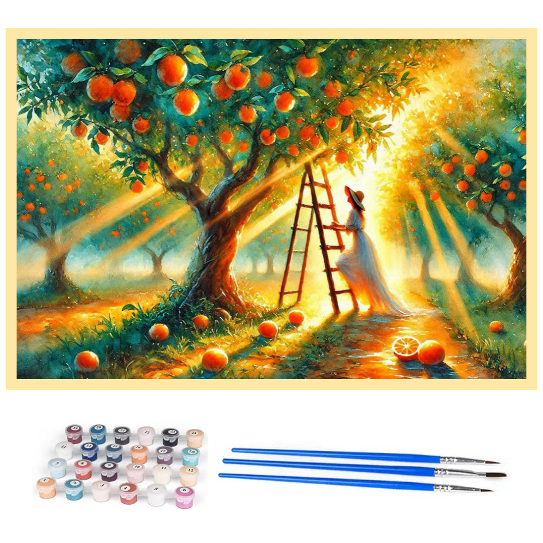 orange-plantation-paint-by-number-kit