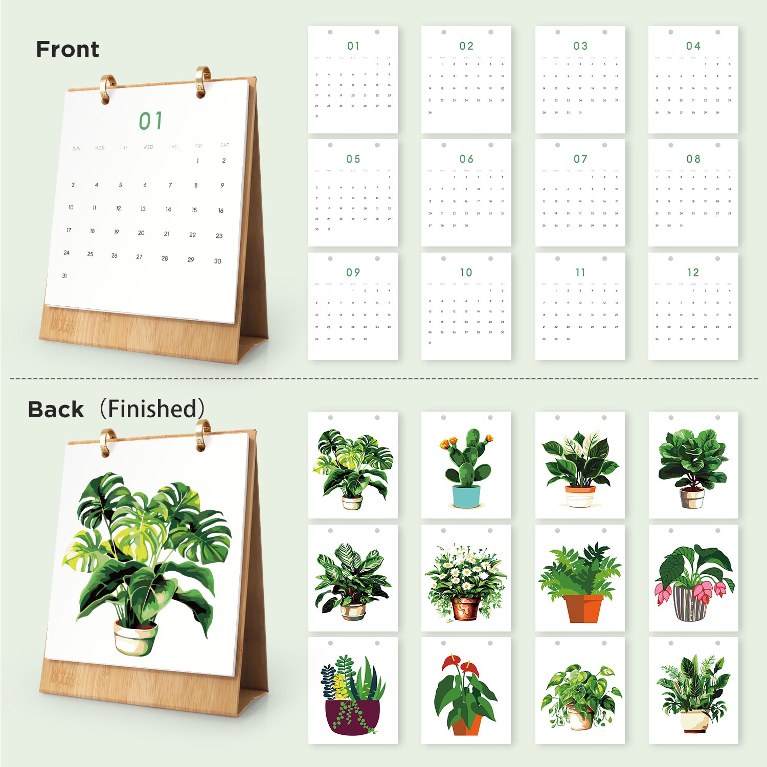 plant-paint-by-numbers-calendar-2027