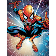 spiderman-paint-by-number-kit