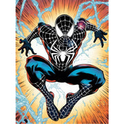 spiderman-in-black-paint-by-number-kit