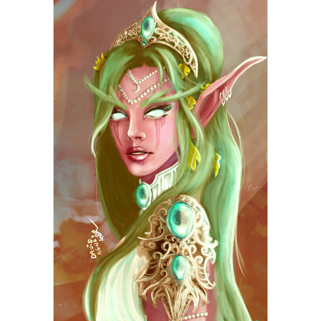 tyrande-whisperwind-warcraft-paint-by-number-kit