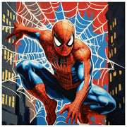web-of-spiderman-paint-by-number-kit