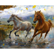 wild-horses-paint-by-number-kit