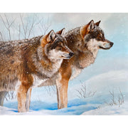 wolf-ready-for-hunt-paint-by-number-kit